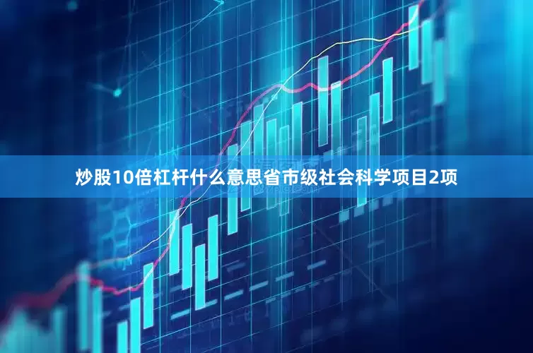 炒股10倍杠杆什么意思省市级社会科学项目2项
